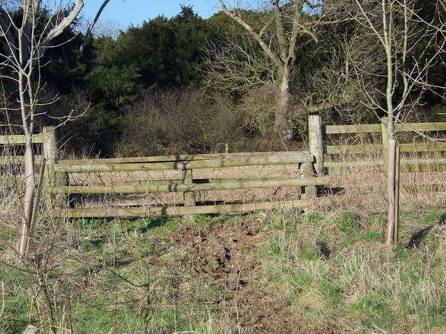 Breddehopp-øvelser i norskfaget